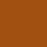 Burnt Orange Color Swatch