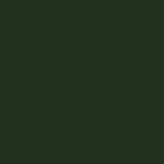 Deep Green Color Swatch