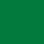 Kelly Green Fabric Swatch
