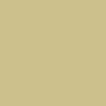 Vegas Gold Color Swatch