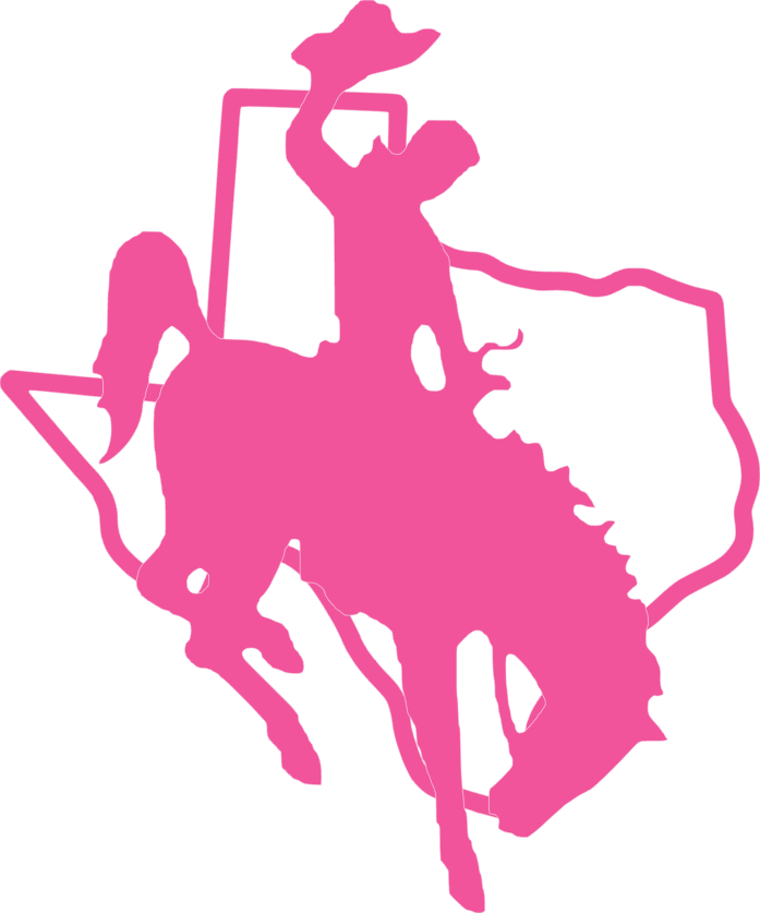 A bright pink silhouette graphic of a cowboy riding a bucking horse, with the outline of Texas behind them, on a plain white background.